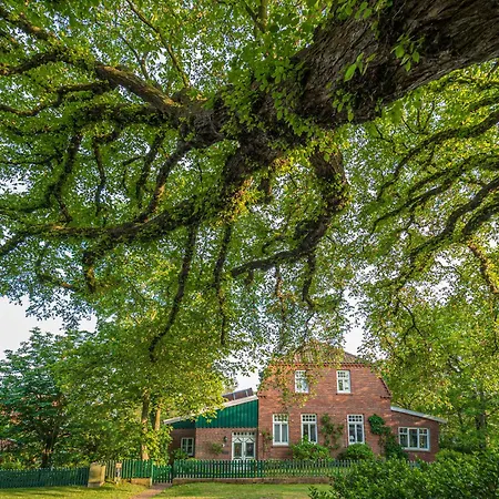Duenenklause Duene 1 Apartment Spiekeroog