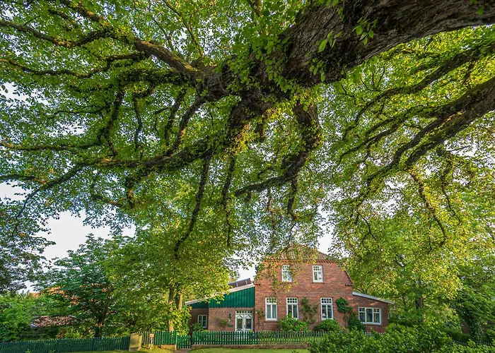 Duenenklause Duene 1 Апартаменты Шпикерог